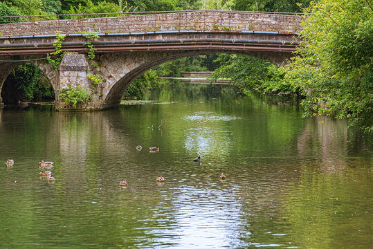 La riviere Yerres a Yerres