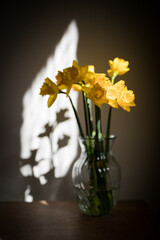 Daffodils