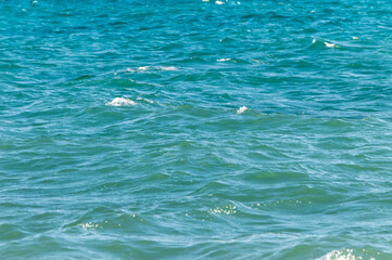 The texture of sea waves. The concept of tourism and environmental protection. Selective focus.