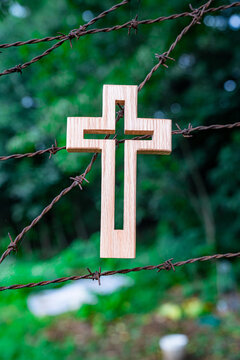 Barbed wire and cross of pain.