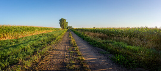 Corn Country Road