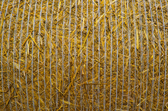 Texture of tied rolled straw