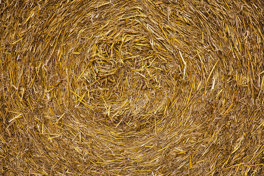 Texture rolled straw