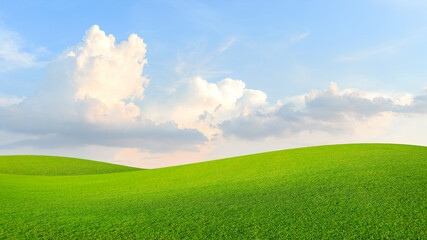 Green meadow fields and bright blue morning skies. Blackguard and morning skies concept.