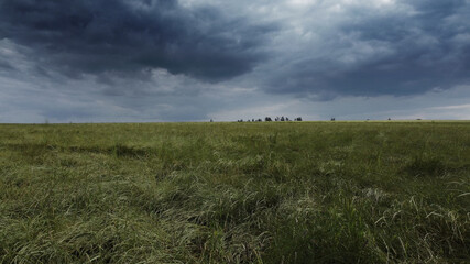 Fototapeta premium Meadows and landscapes with dramatic sky - nature photography
