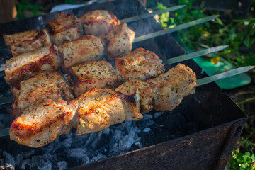 Meat on the grill. Shish kebab on fire. Preparation of meat called shashlik. Barbecue time. Picnic concept. Grilled pork with charcoal. Grilling kebab on skewer. Delicious barbeque meal.