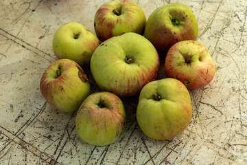 Composition on the table of several ripe apples.