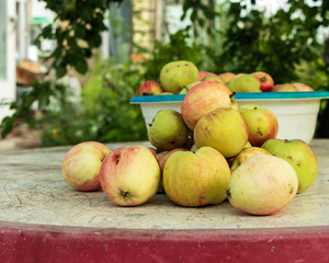 Freshly picked ripe apples are in a plate on the table.