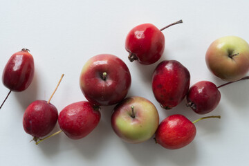 crab apples on a light background