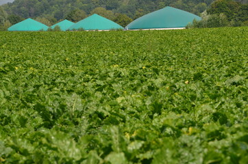 Biogasanlage