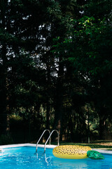 PISCINA EN MITAD DEL BOSQUE CON FLOTADOR.