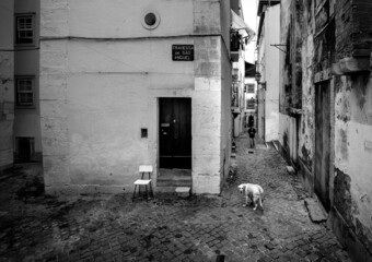 Streets of the old district of Alfama in the center of Lisbon. Portugal. Black and white