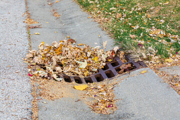 Storm sewer grate clogged with leaves. Flooding prevention, surface water runoff and public infrastructure concept.