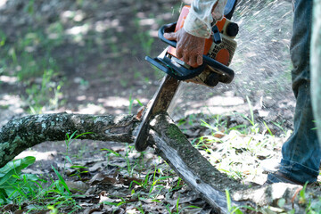 Man tree cutter with a small chainsaw, which is light and easy to carry.