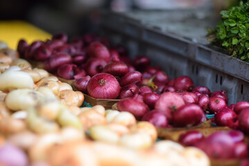Fresh bio onion on showcase of supermarket or street farmer market. Typical local agricultural fair of weekend. Sale of organic onions. Small local business.