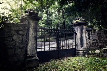 old iron gate of a graveyard