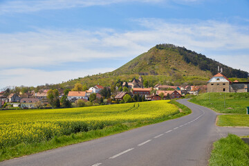 Village houses. The road goes into the distance. Yellow rapeseed field. A green mountain against a blue sky with clouds.