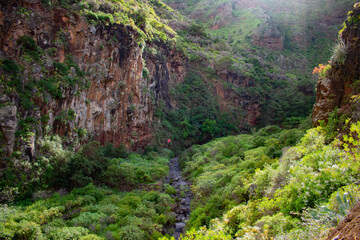 Paisaje garafiano. Canarias. 