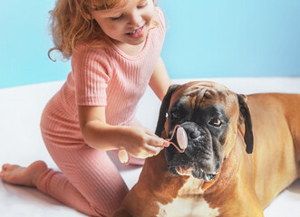 A little blond curly-haired girl laughs and massages the face of a German boxer's dog with a jade...