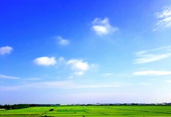 青空と田園