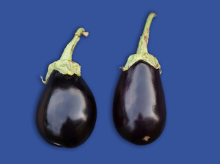 eggplant aubergine on blue background two organic vegetables fruits