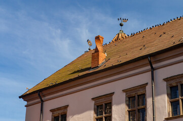 Old beautiful architectural medieval roof with tiles