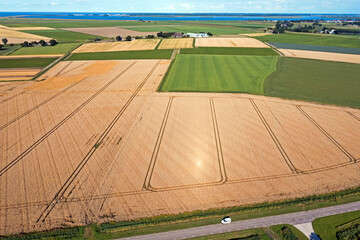 Aerial from wheat fields ready for harvest in the countryside from the Netherlands