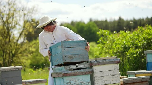 Handsome beekeeper working with honeycombs. Young beeworker in uniform.