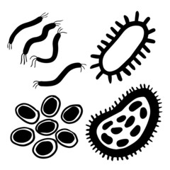 Microorganisms in vibrio bacilli coccus shapes