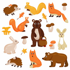 Forest animals, bear, fox, hare, squirrel, hedgehog, mushrooms and autumn leaves. Vector cartoon style.
