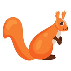 Squirrel. Forest animal. Vector cartoon style. Isolated on a white background