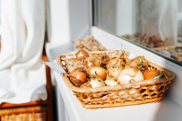 Lots of yellow onions in a wicker plate on a windowsill on a sunny day.