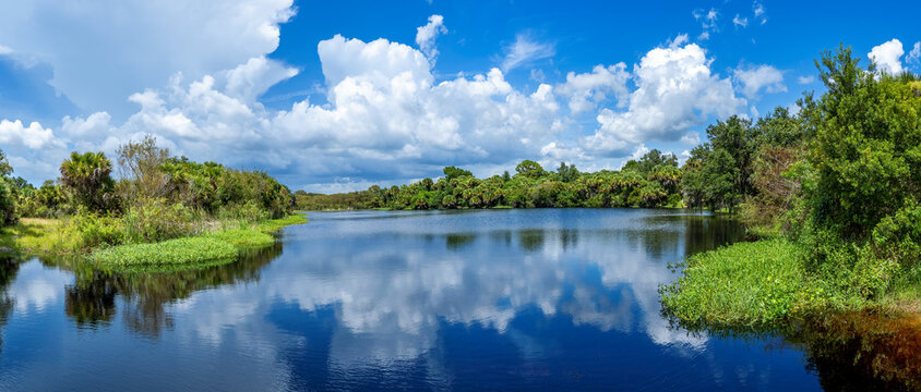 Big white clouda reflecting in the lake in Deer Prarie Creek Preserve in Venice Florida USA