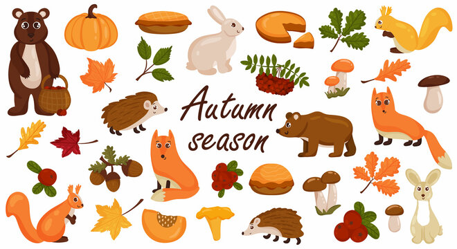 Set of autumn elements, animals, mushrooms, bright colorful autumn leaves. Vector cartoon style. Isolated on a white background