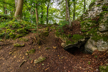 Fototapeta premium Wonderful hike through the Laucherttal on the southern edge of the Swabian Alb