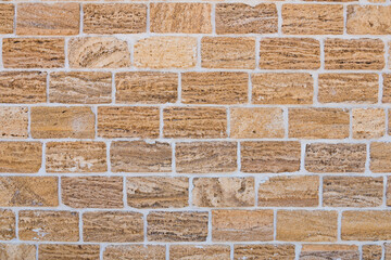 Building material texture. Bricks formed by seashells. Background, texture