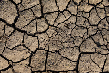 Dry and cracked land, due to lack of rain, near the Torreblanca, Spain. Effects of climate change such as desertification and droughts