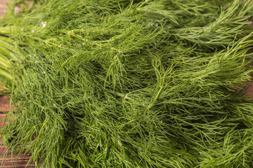 Fresh green dill close-up as a texture. View from above.