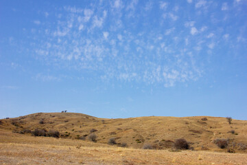 Mountain with yellow grass against the blue sky.