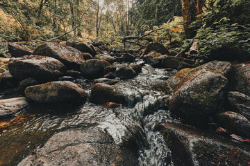 Olterudelva River - stream in the forest