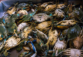 Fresh caught blue crabs for sale at outdoors fish market. Seafood.