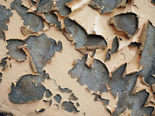 paint flaking off the wall