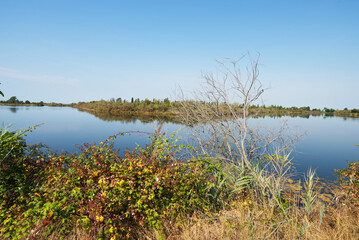 Laguna in Friuli Venezia Giulia, Italia, riserva naturale della Valle Cavanata