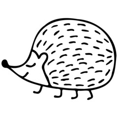 Hedgehog isolated on white background. Vector hand-drawn doodle illustration.