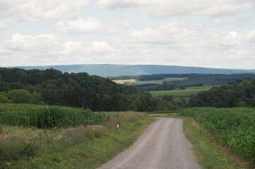 Fototapeta na wymiar Lane Through Farmland with Valley and Mountains in Background on Summer Day