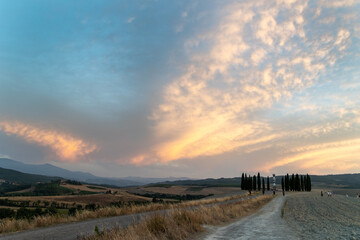 San Quirico D'orcia cypresses sunset Tuscany