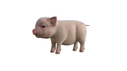 Fury The Piglet poses for your illustrations. Cartoon Figure Photo-realistic illustration for collage isolated on a white background. 3d rendering, 3D illustration.