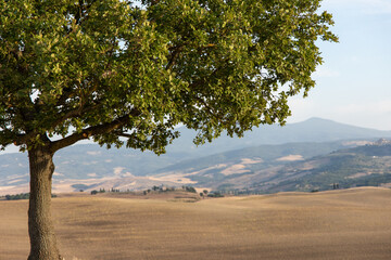 Chapel of the Madonna di Vitaleta, San Quirico d Orcia, Tuscany, Italy.
