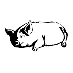 Smiling Pig Lazy
