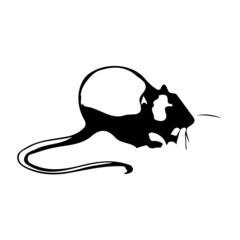 Small Ugly Rat Animal 